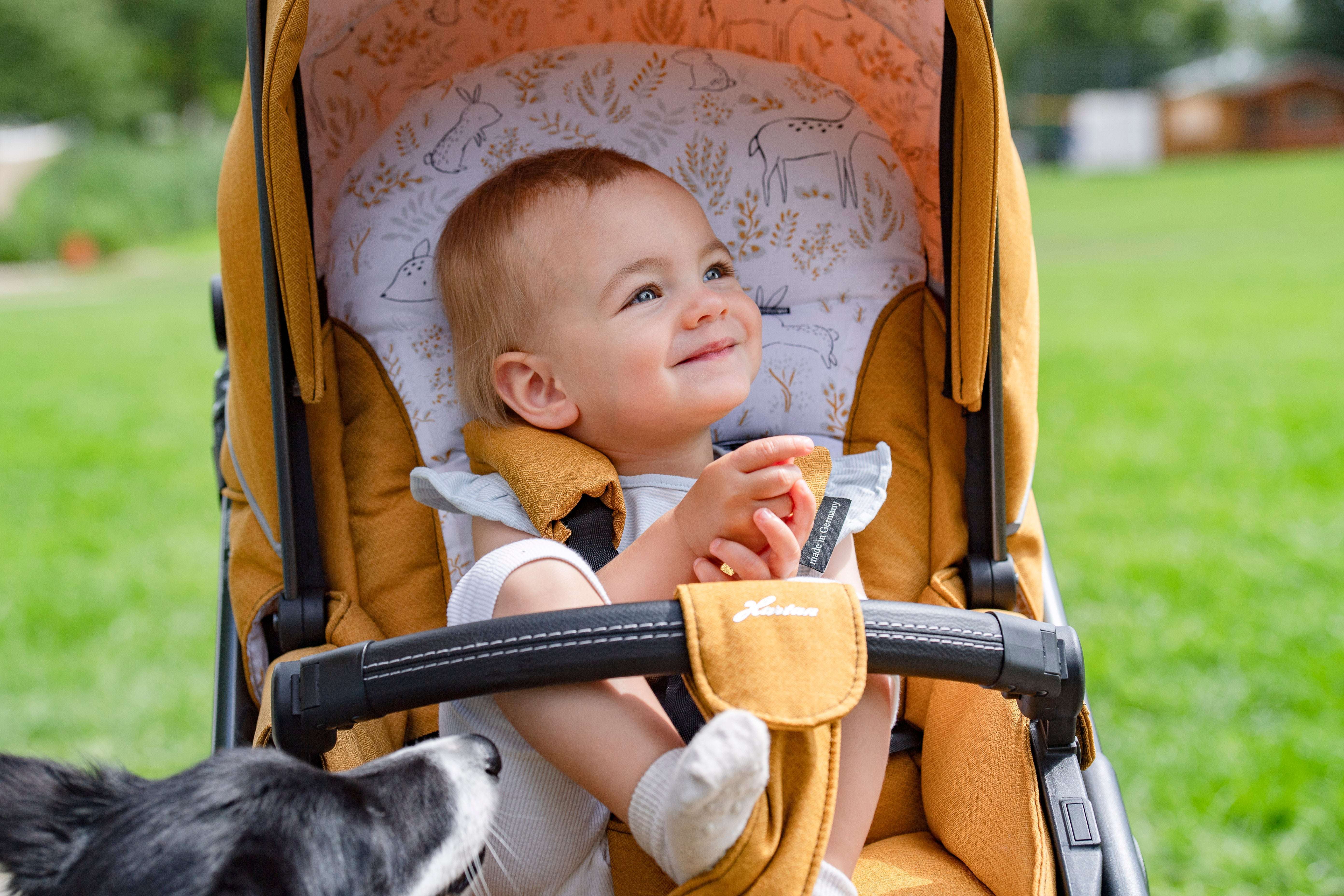 Kind im Kinderwagen auf grüner Wiese